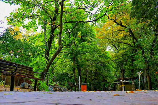 پارک قیطریه در تهران