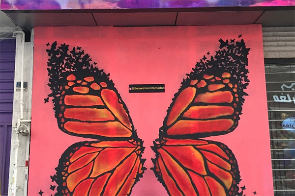 دیوار پروانه در کوچه تمدن