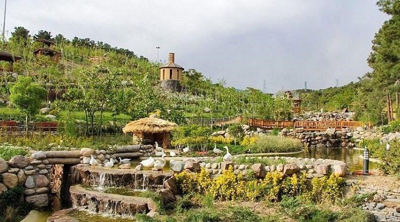 پارک جنگلی شیان در تابستان
