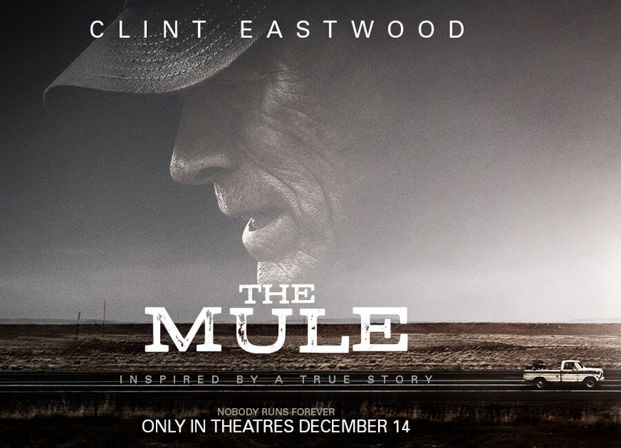 The Mule(میول) 