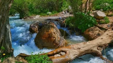 روستای آبنیک