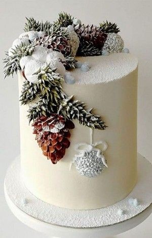 کیک زمستانی شیک میوه کاج