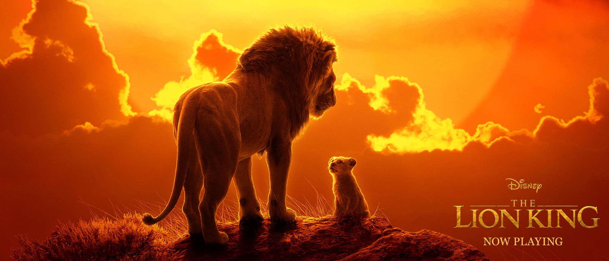 The Lion King (2019)