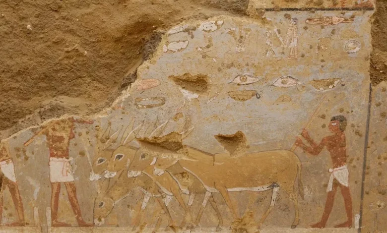 کشف دیوارنگاره های رنگی 4300 ساله در مصر