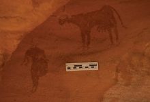 کشف سنگ‌نگاره‌های باستانی در صحرای سوزان؛ یادگاران دورانی سرسبز در ۴ هزار سال پیش