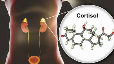 هورمون کورتیزول چیست