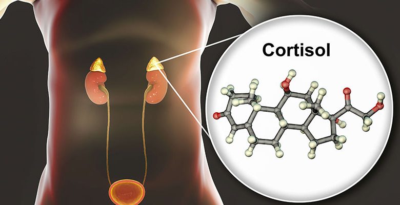 هورمون کورتیزول چیست