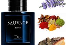 عطر دیور ساوج الکسیر