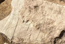 نقش برجسته‌ای ۲۷۰۰ ساله از خدایان آشوری در نینوا کشف شد