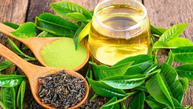 چای سبز از طریق کاهش استرس در بلند مدت از پیری مغز جلوگیری می کند