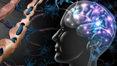 تعداد بیماران مبتلا به ام اس در استان اصفهان در سه دهه گذشته بیش از ۲۵۰ برابر شده