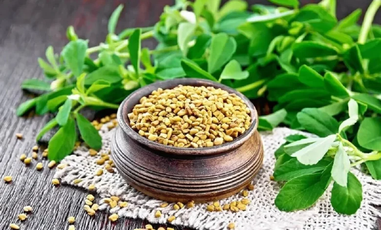 شنبلیله در کاهش اندازه کیست در تخمدان پلی کیستیک کمک می کند