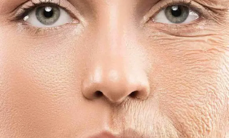 برای اولین بار در جهان ساخت پوست طبیعی به کمک سلول های بنیادی