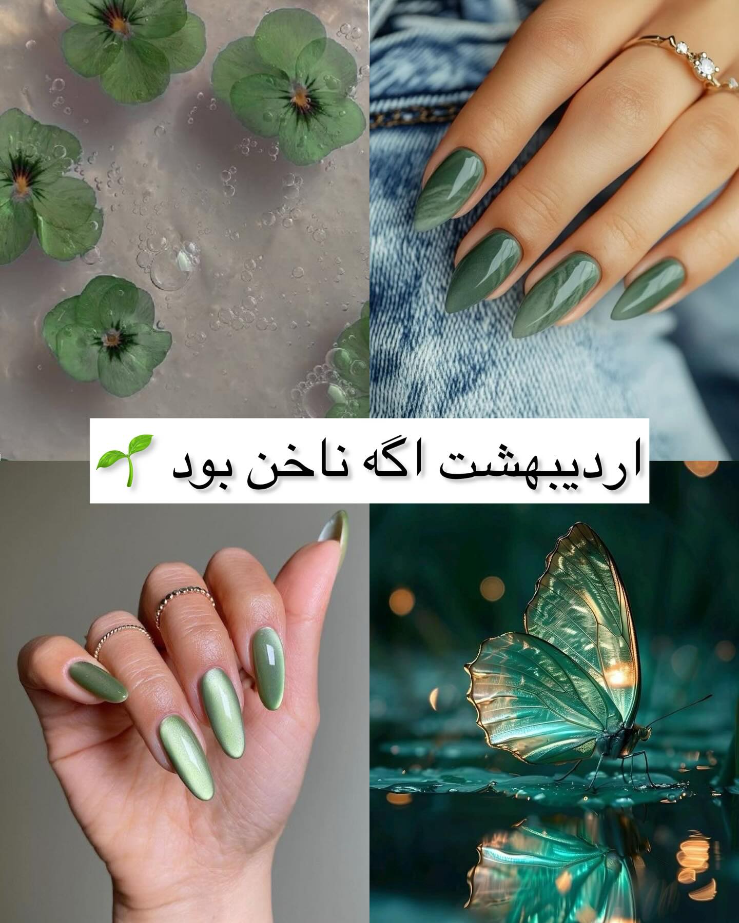 ناخن اردیبهشت