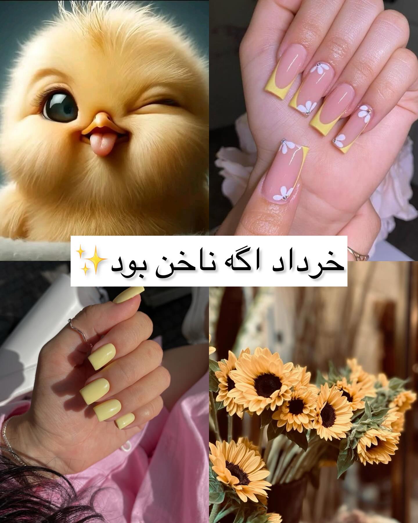 ناخن برای خرداد