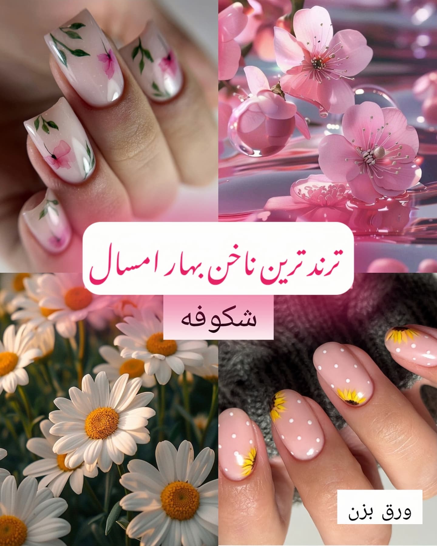 ناخن شکوفه بابونه