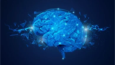آیا حافظه مغز هم تمام می شود؟