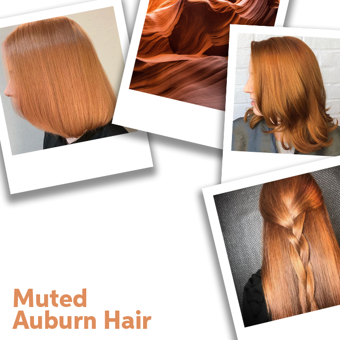 مسی ملایم (Muted Auburn)