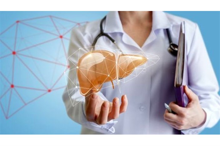 سونوگرافی کبد - تفسیر و آمادگی پیش از انجام آن