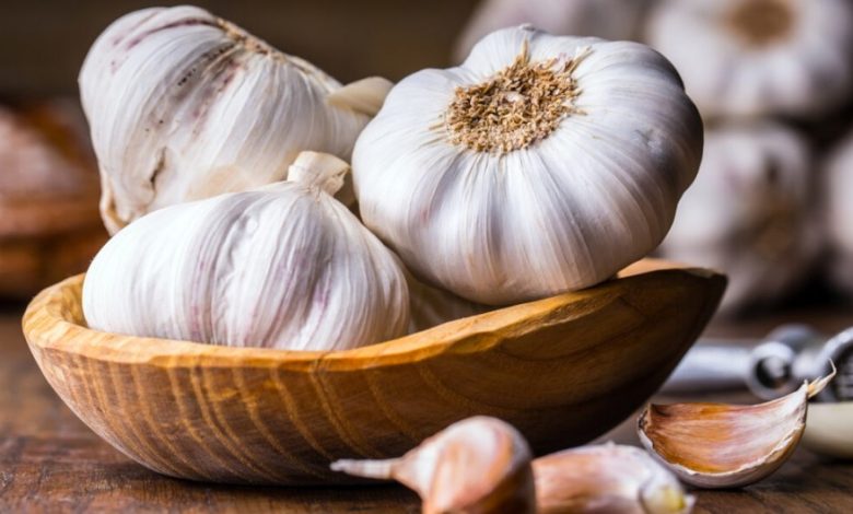 پودر سیر به تقویت سیستم ایمنی و هضم غذا کمک می کند