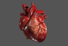 پلاستیک و بیماری قلبی