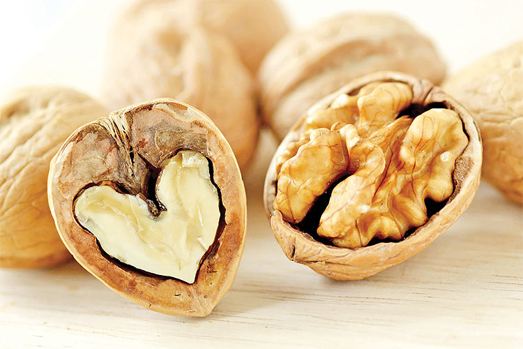مغز گردو تویسرکان