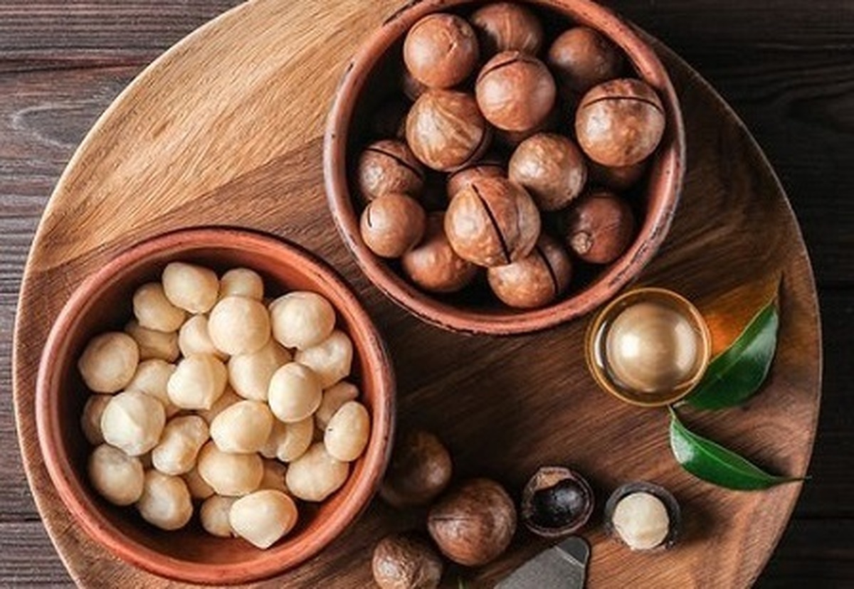 خواص ماکادمیا یا فندق استرالیایی