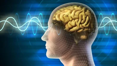 مغز انسان شاید با هفت حس بهترین عملکرد را داشته باشد