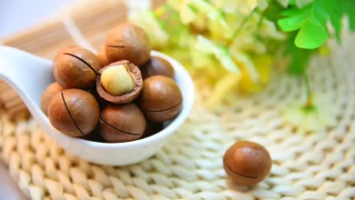 خواص ماکادمیا یا فندق استرالیایی+ نکات ضروری که باید بدانید