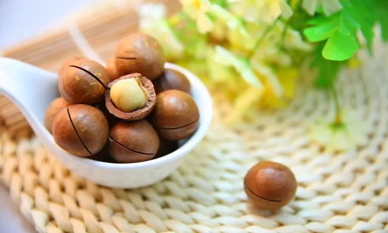 خواص ماکادمیا یا فندق استرالیایی+ نکات ضروری که باید بدانید