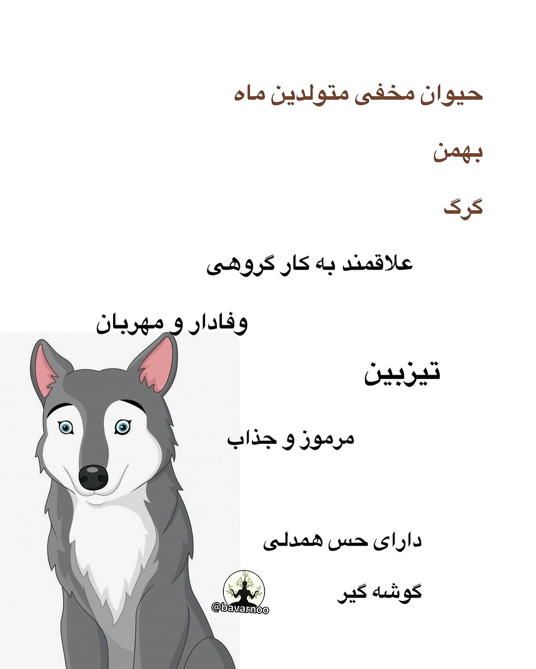 حیوان ماه بهمن