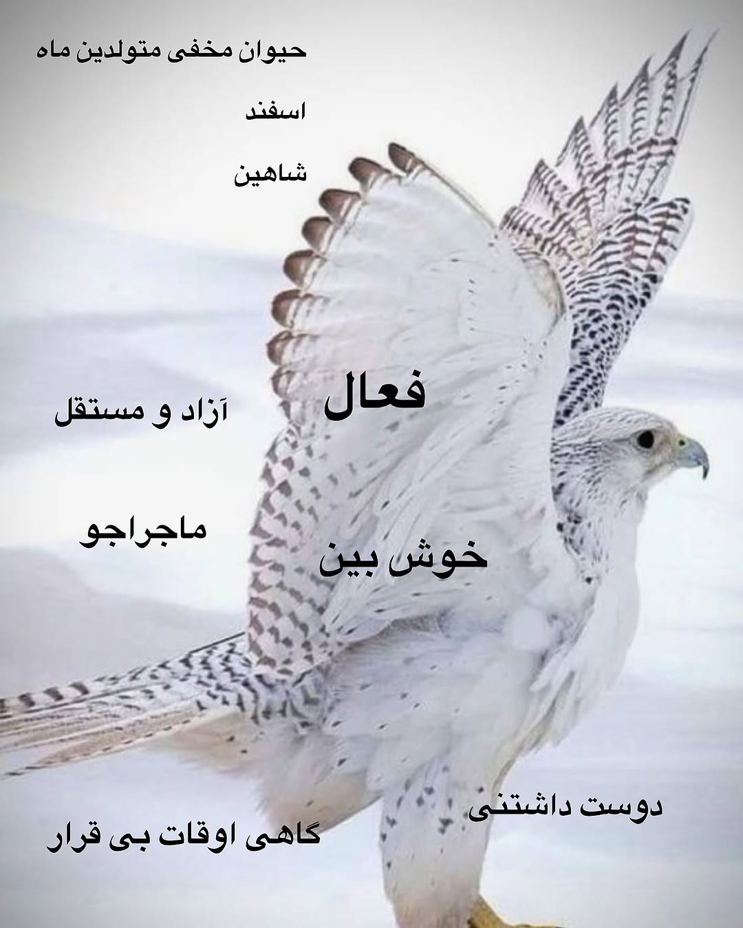 حیوان ماه اسفند