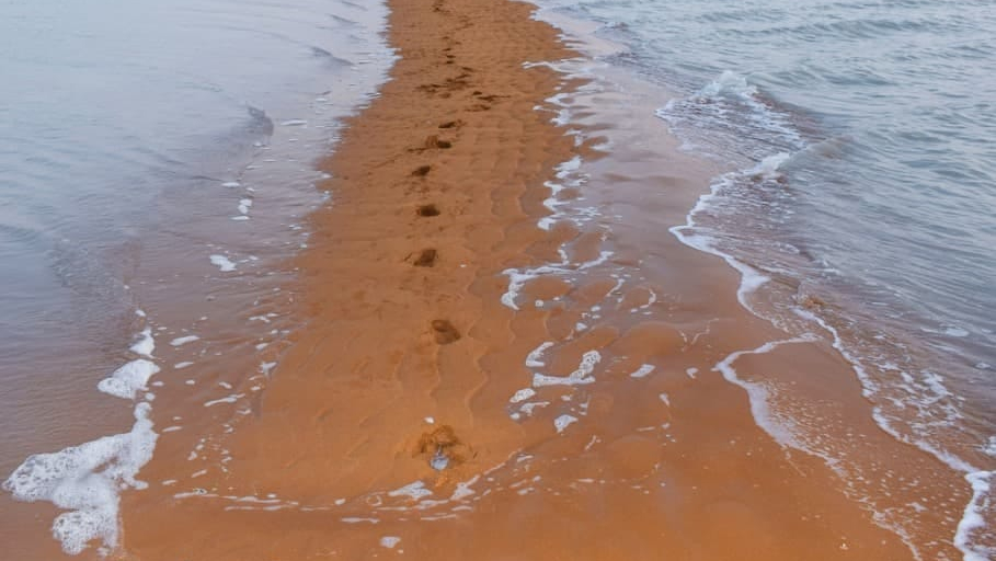 ساحل ۲ طرفه قشم