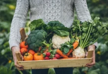 این خوراکی‌ها فشار خون را پایین می‌آورند! نقش مؤثر پتاسیم و منیزیم در سلامت قلب