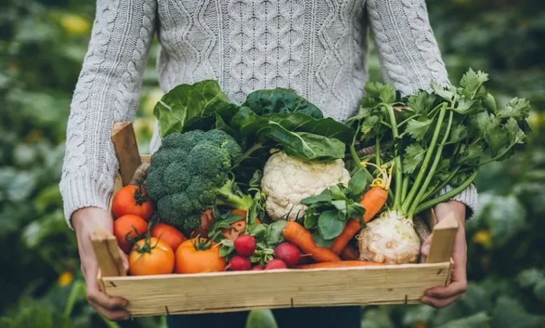 این خوراکیها فشار خون را پایین میآورند! نقش مؤثر پتاسیم و منیزیم در سلامت قلب