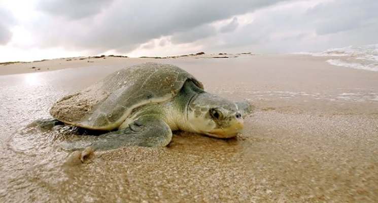 روستای شیب دراز
