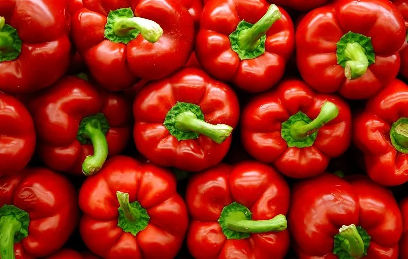 فلفل دلمه ای قرمز