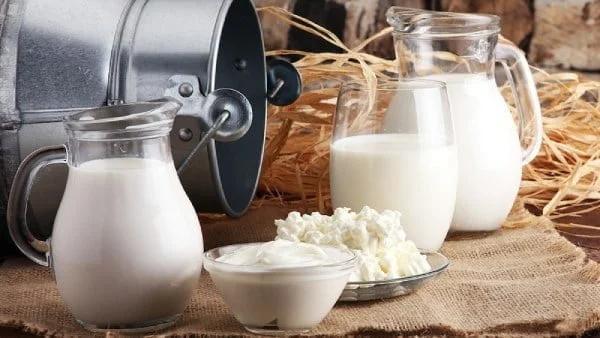 محصولات لبنی