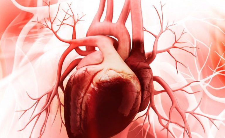 قلب‌تان تا ۳۰ سال دیگر چطور خواهد بود؟