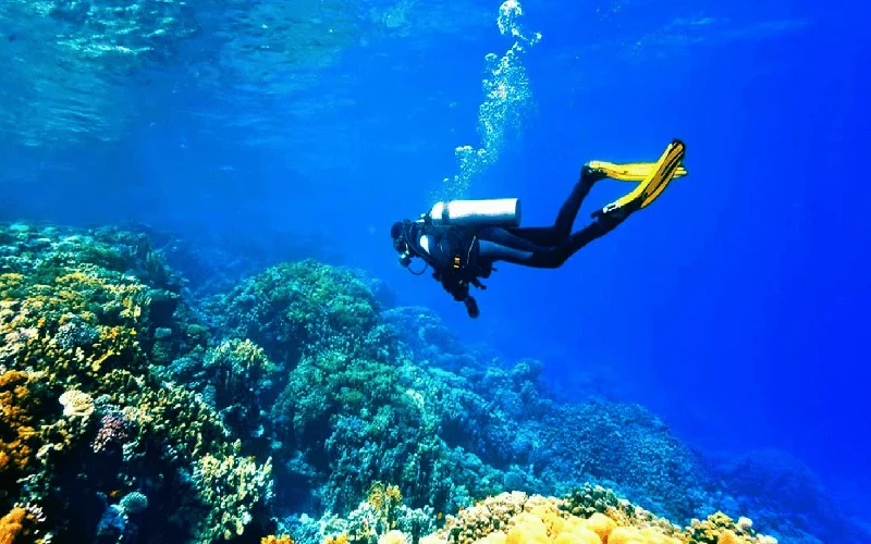 مرکز غواصی و تفریحات دریایی نگین ساحل قشم