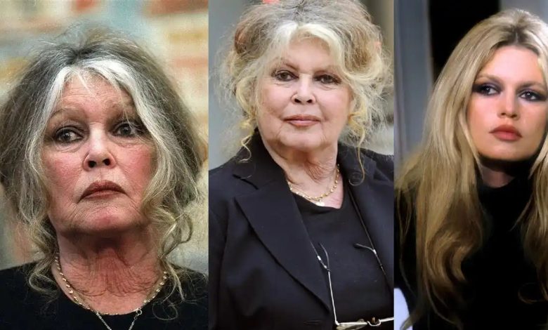 بریژیت باردو، بازیگر و خواننده مشهور فرانسه در سن ۹۱ سالگی درگذشت.