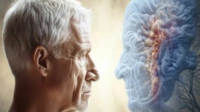 چگونه می توان از پیری مغز جلوگیری کرد و مغز را جوان نگه داشت؟