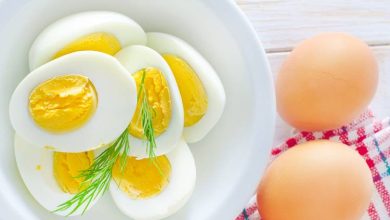 کشف ماده ای در زرده تخم مرغ که پیر شدن مغز را کند می کند