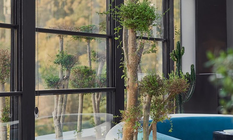 بولرو اقدسیه پاتوق سلبریتی های تهران