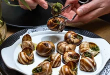 سرقت ۱۰۴ هزار دلاری حلزون‌های خوراکی از مزرعه‌ای در شمال فرانسه