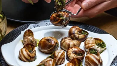 سرقت ۱۰۴ هزار دلاری حلزون‌های خوراکی از مزرعه‌ای در شمال فرانسه