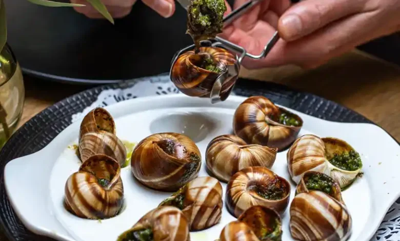 سرقت ۱۰۴ هزار دلاری حلزونهای خوراکی از مزرعهای در شمال فرانسه