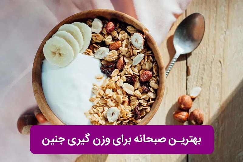 ماست یونانی + میوه + مغزها