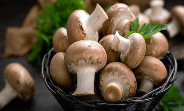 فواید شگفت‌انگیز قارچ