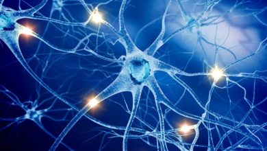 سلول های انسان مرگشان را به دیگر سلول ها اطلاع می دهند